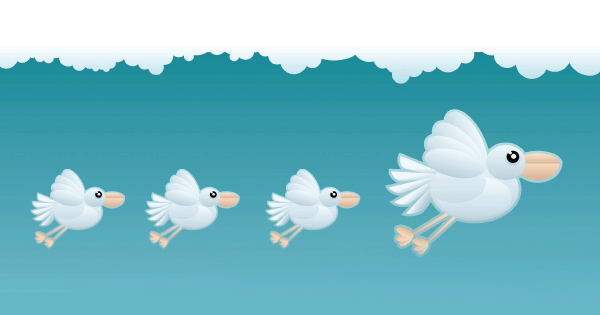 31 Generate A Following