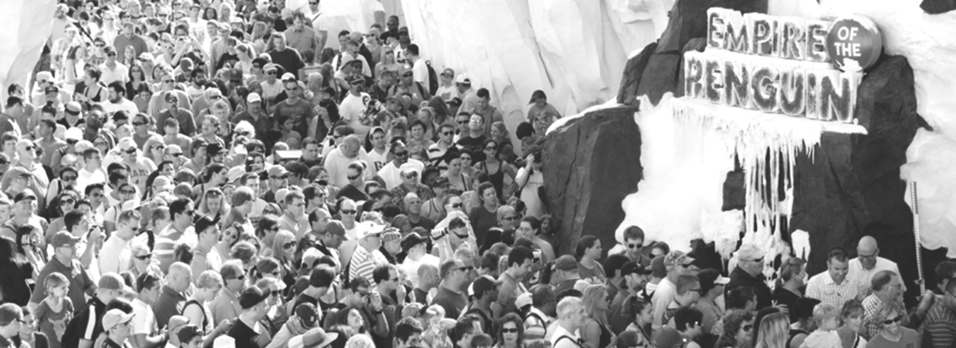 Transporting fans on an Antarctic Adventure: no flight needed