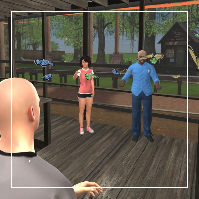 BOG VR Butterfly Garden web