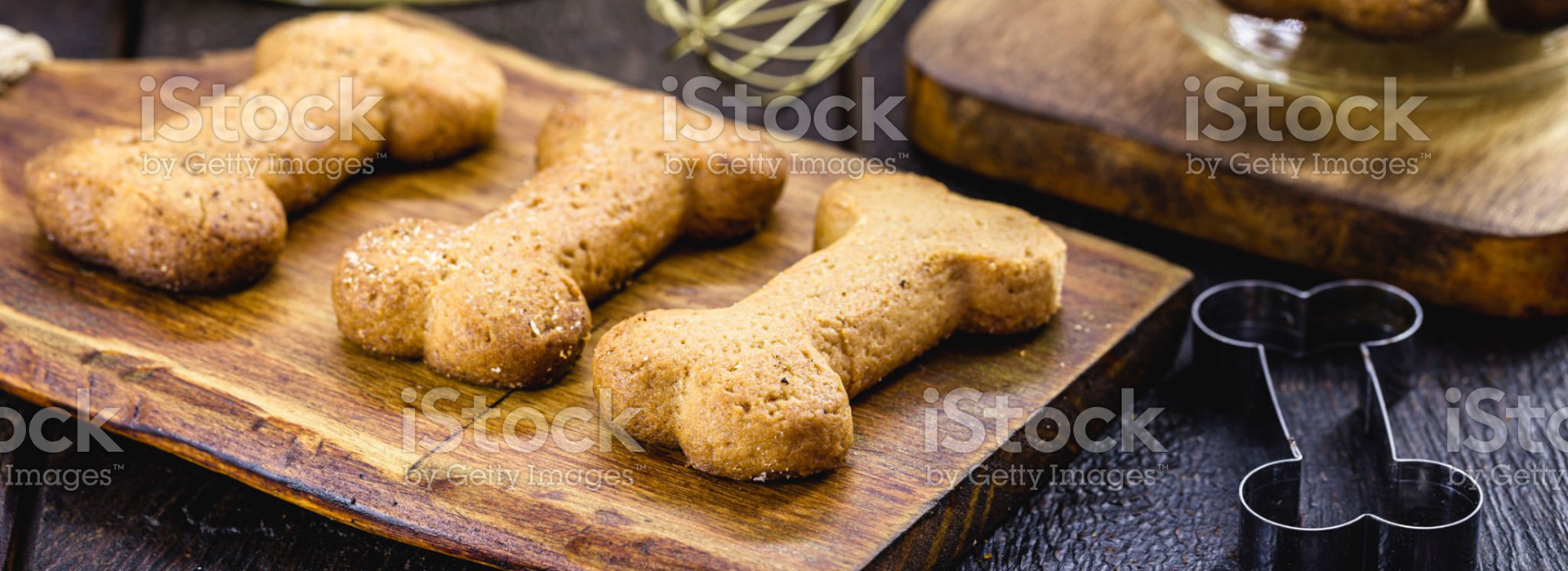 DogCookie istockphoto 1332029685 2048x2048 1